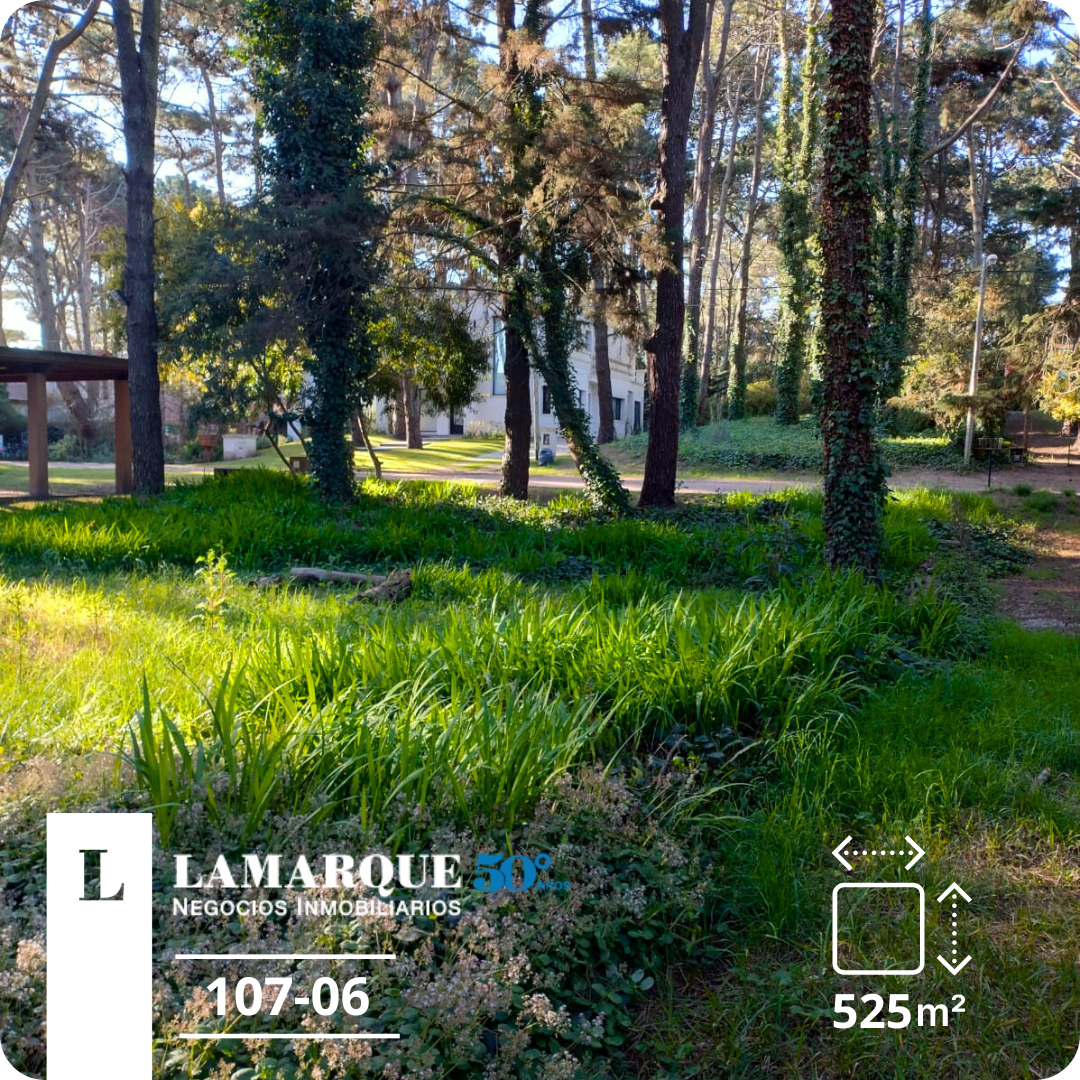 Lamarque